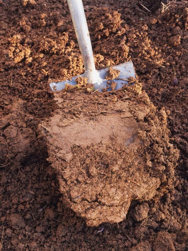 Clay soil