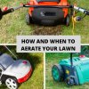 How and When to Aerate Your Lawn