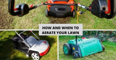 How and When to Aerate Your Lawn