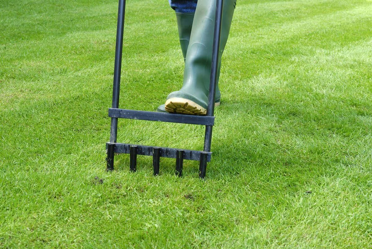 How to Aerate your Lawn