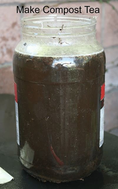 How to make compost tea How to make compost tea