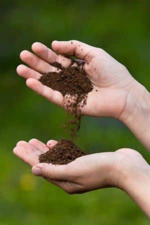 Loamy soil