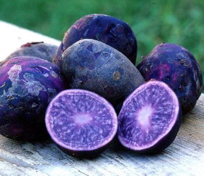 Purple or Blue potatoes