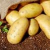 The Best Potatoes That You Should be Growing