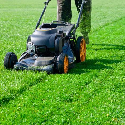 When to Aerate your Lawn