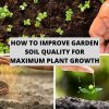 How To Improve Garden Soil Quality for Maximum Plant Growth
