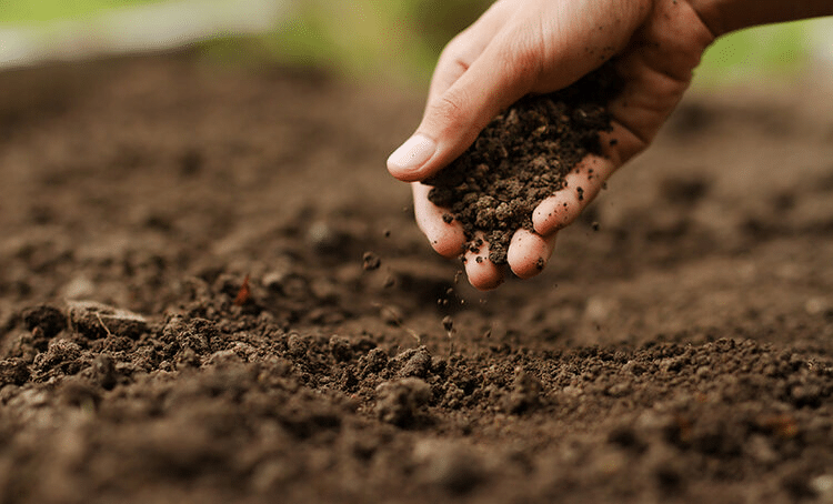 how to improve garden soil quality