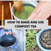 How to Make and Use Compost Tea