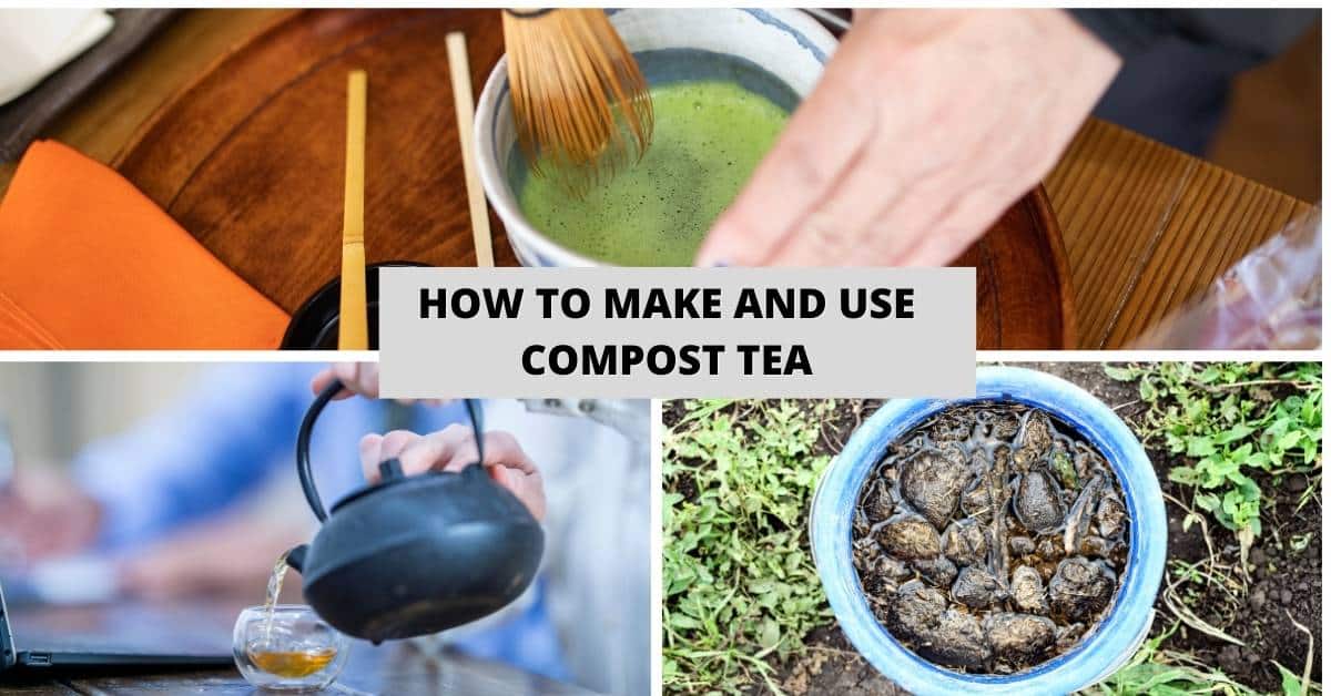 How to Make and Use Compost Tea