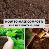 How To Make Compost The Ultimate Guide