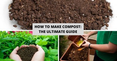 How To Make Compost The Ultimate Guide