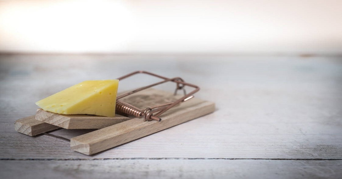 Mousetrap Mousetrap