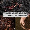 Vermicomposting: How To Compost with Worms