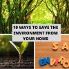 10 Ways To Save The Environment From Your Home