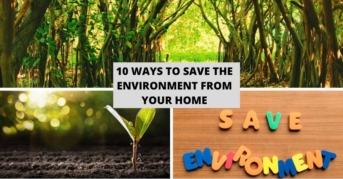 10 Ways To Save The Environment From Your Home