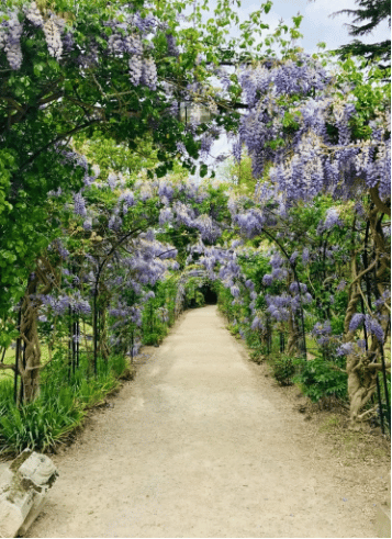50+ Inspirational Garden Quotes 50+ Inspirational Garden Quotes