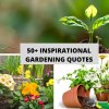 50+ Inspirational Gardening Quotes