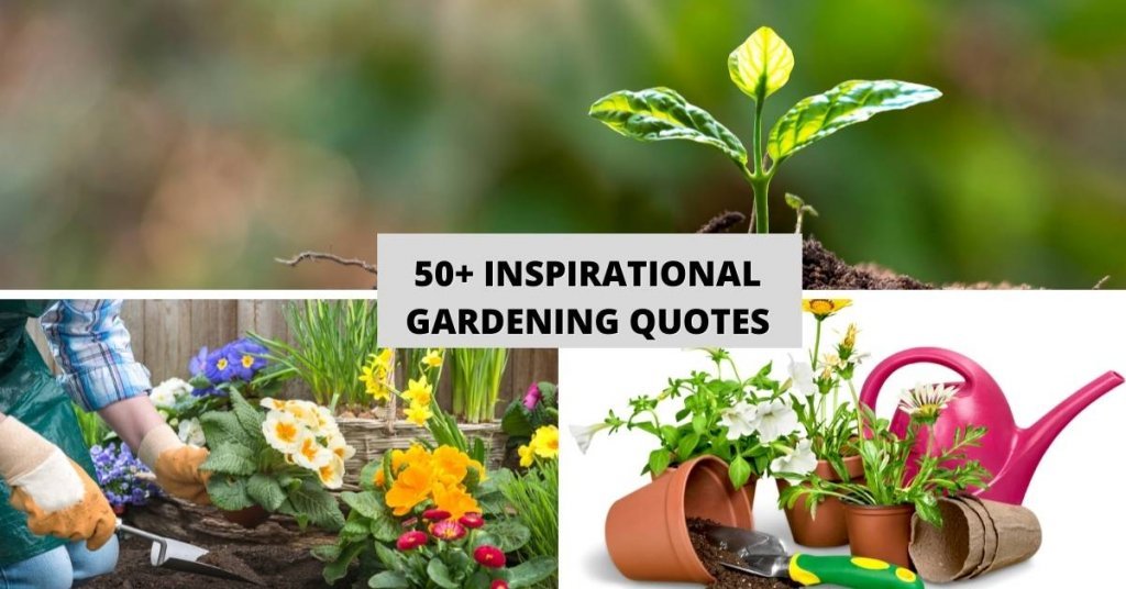 50+ Inspirational Gardening Quotes