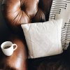 How to Care for a Leather Couch