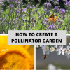 How To Create A Pollinator Garden