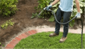 No Dig Landscape Edging The Best Diy, How To Install No Dig Garden Edging