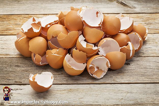 Eggshells