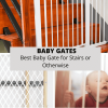 Baby Gates: Best Baby Gate for Stairs or Otherwise