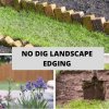 No Dig Landscape Edging: The Best DIY and Store Bought Edging For Your Garden