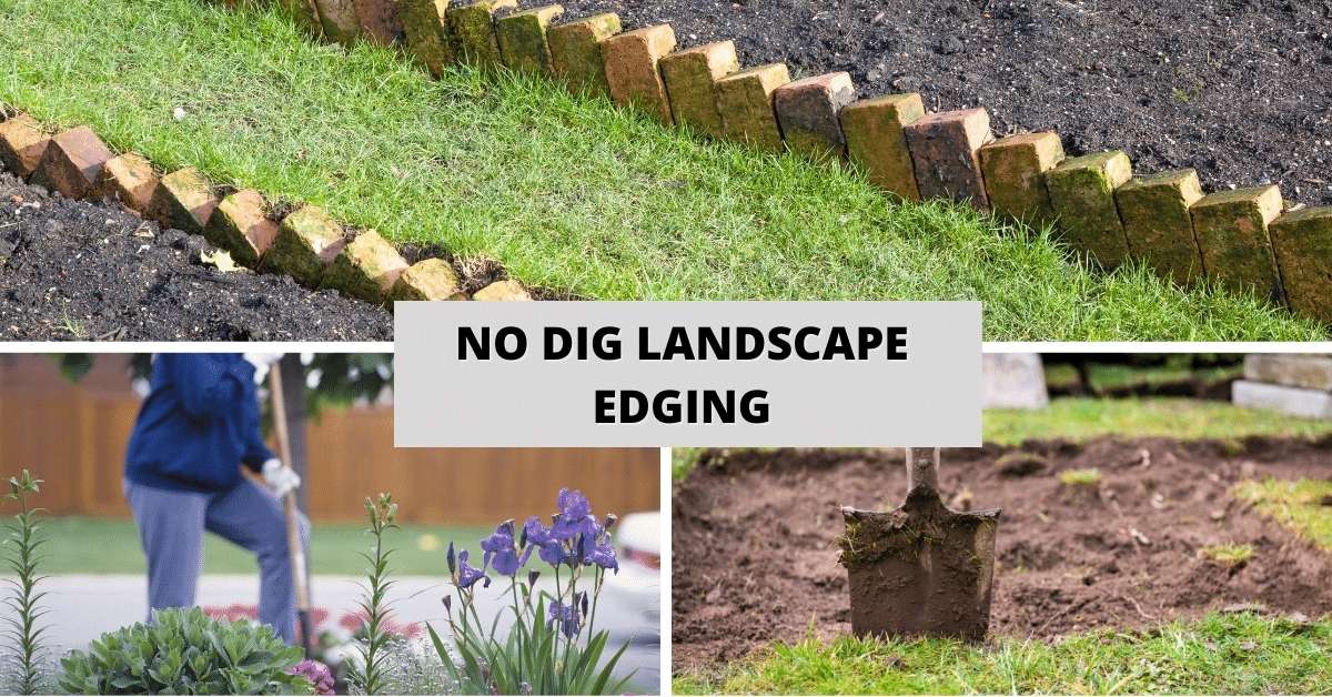 No Dig Landscape Edging: The Best DIY and Store Bought Edging For Your Garden
