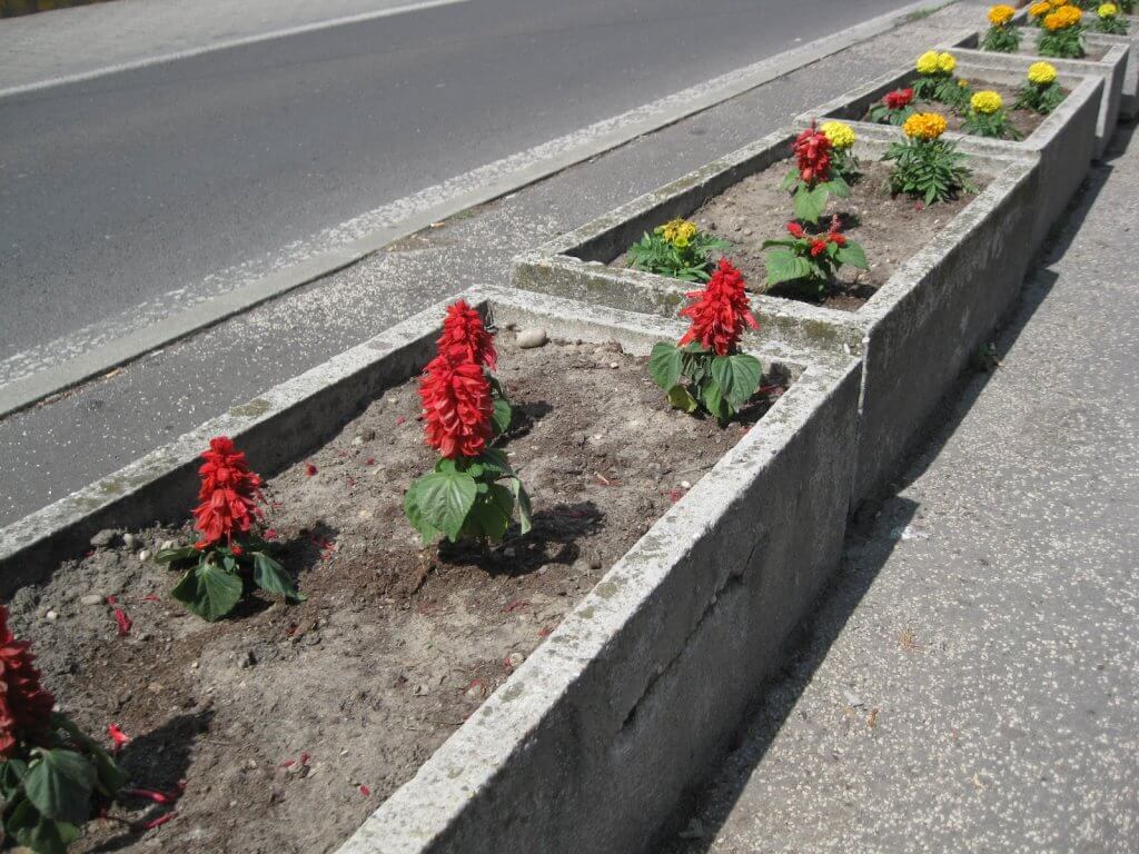 Bratislava's Planter Boxes