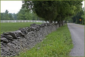 Stone Fence