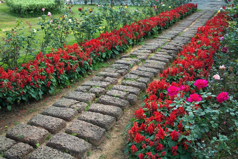 Flower pat garden