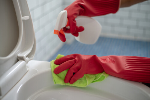 Close up woman using cleaning spray clean a toilet with red gloves Close up woman using cleaning spray clean a toilet with red gloves