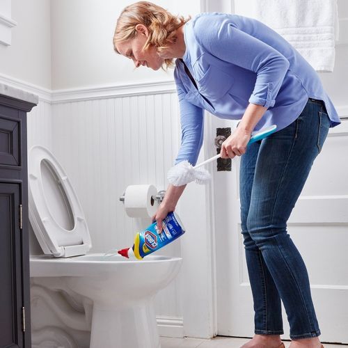 Disinfecting the Bathroom Powder Room