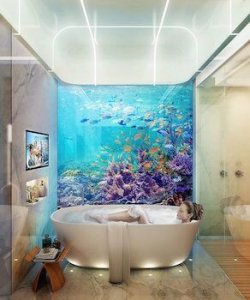 Bathroom Aquarium