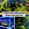 5 Best Fish Tank Decor Ideas You Can Try