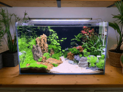 unique fish tank decorations