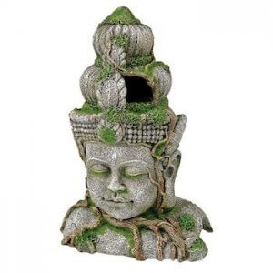 Statues Statues