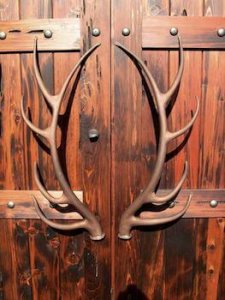 Antler-shaped door handles