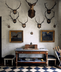 Antler Wall Art