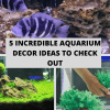 5 Incredible Aquarium Decor Ideas to Check Out