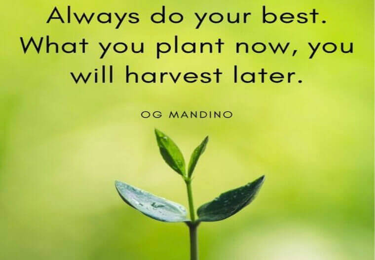 life quote