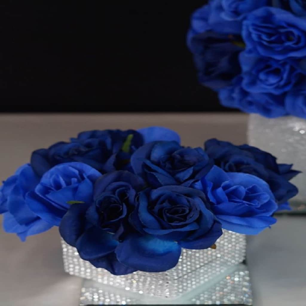 Blue rose Blue rose
