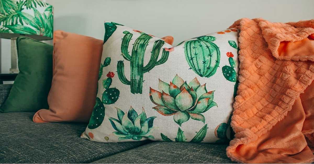 CACTUS HOME Design CACTUS HOME Design