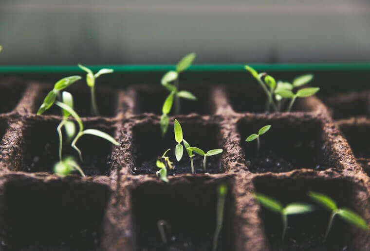 Let us not forget that the cultivation of the earth Let us not forget that the cultivation of the earth