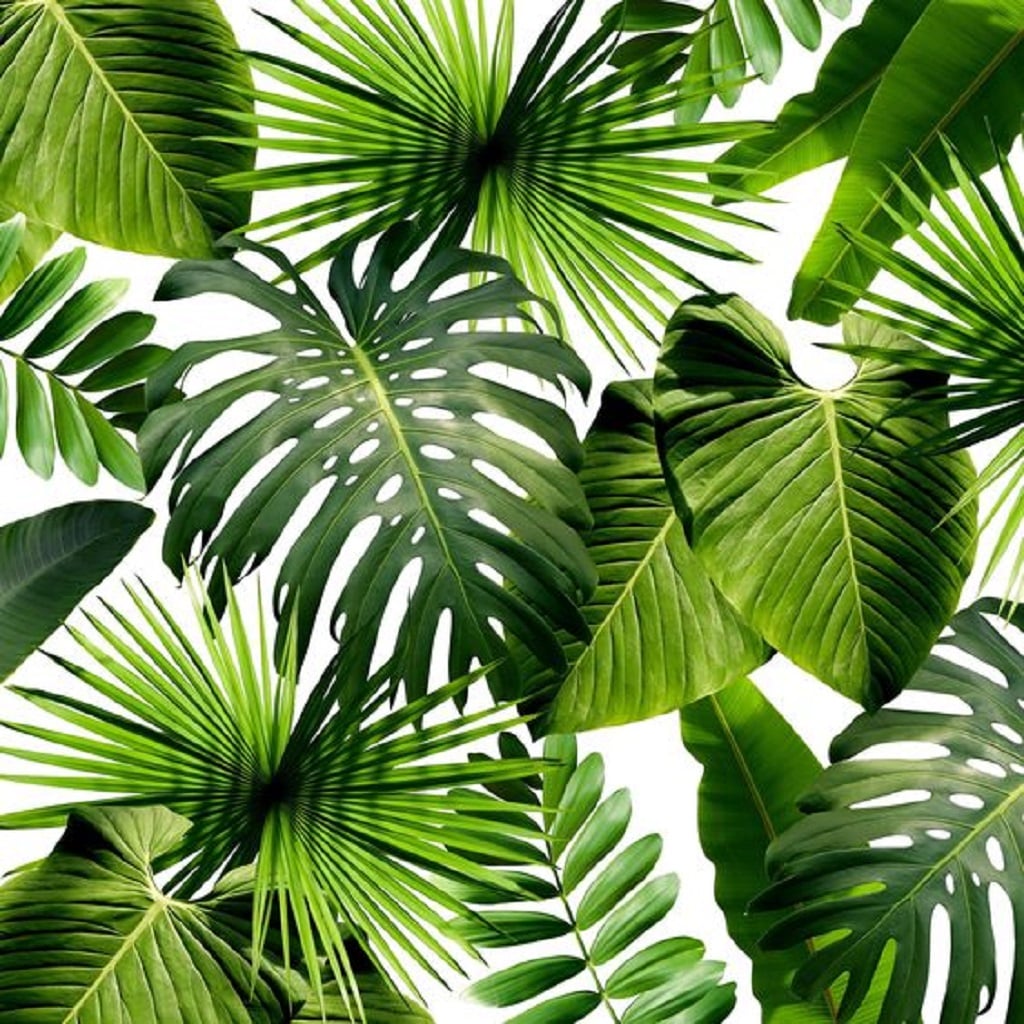 Using Greenery Using Greenery