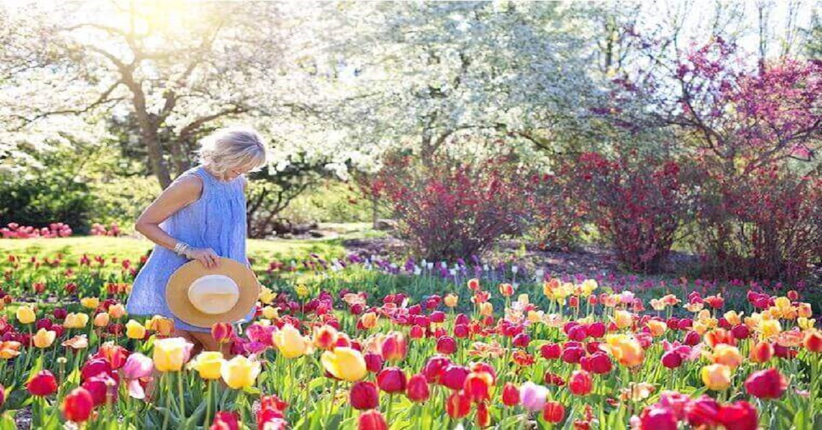 14 Meaningful Quotes About Garden Life 14 Meaningful Quotes About Garden Life