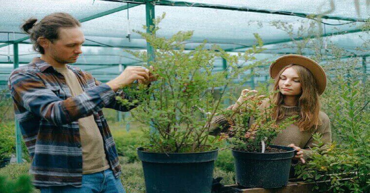 15 Quotes About Garden and Life 15 Quotes About Garden and Life