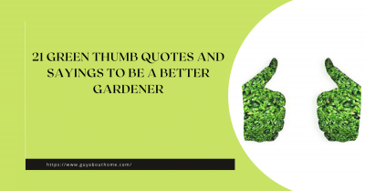 21 Green Thumb Quotes and Sayings to Be a Better Gardener