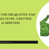 21 Green Thumb Quotes and Sayings to Be a Better Gardener